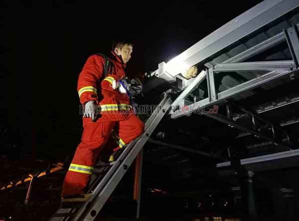 EVAKUASI : Tim rescue Damkar Kobar melakukan evakuasi sarang tawon dan pohon tumbang di Jalan HM Rafii Pangkalan Bun, Rabu (27/1).(ISTIMEWA/RADAR PANGKALAN BUN)