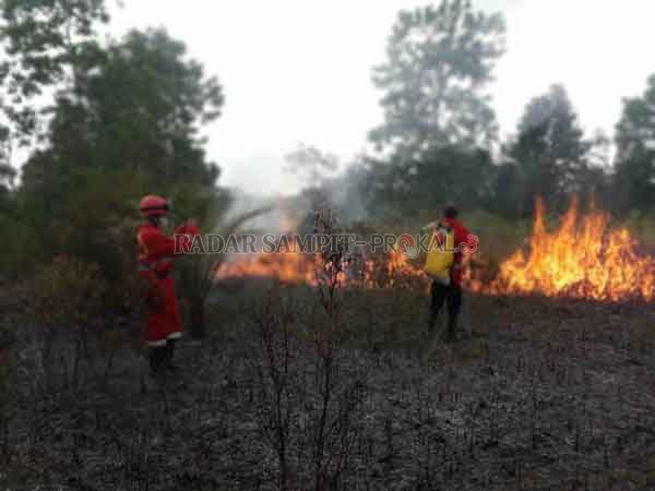 Tim Satgas Darat Karhutla saat memadamkan api di Desa Batu Belaman, Kecamatan Kumai, Kabupaten Kobar, Kamis (12/2).(  BPBD/RADAR PANGKALAN BUN)