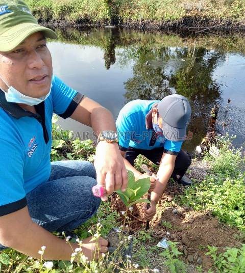 PENGHIJAUAN : Jajaran manajemen perushaan Air Minum Dalam Kemasan (AMDK) Quarter lakukan penanaman pohon di kawasan Desa Tanjung Terantang, Kecamatan Arut Selatan, Kabupaten Kotawaringin Barat, Kalteng, Sabtu (13/2). (ISTIMEWA/RADAR PANGKALAN BUN)