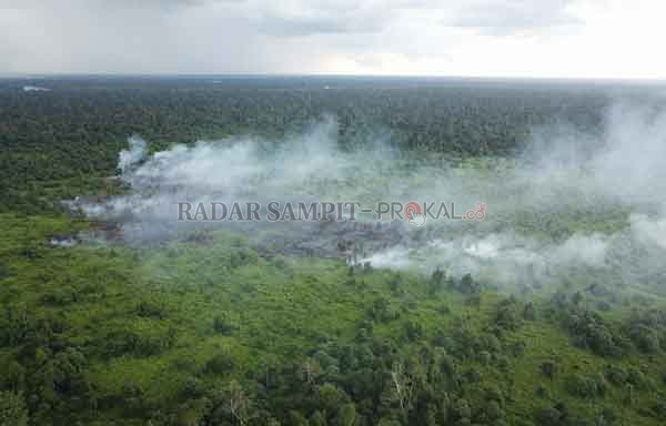 KEBAKARAN HUTAN DAN LAHAN : Kebakaran Hutan dan Lahan di KM 05, Kelurahan Mendawai Seberang, Kecamatan Arsel, Kabupaten Kotawaringin Barat, dilihat melalui drone, Minggu (14/2).(ISTIMEWA/RADAR PANGKALAN BUN)