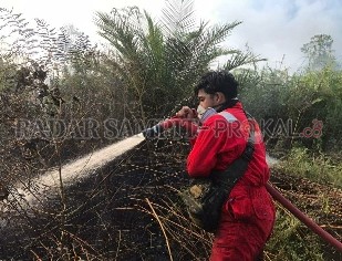 PENDINGINAN : Anggota Satgas Karhutla Kobar menyemprotkan air ke kawasan lahan gambut untuk mematikan bara api di lapisan bawah. (ISTIMEWA/RADAR PANGKALAN BUN)