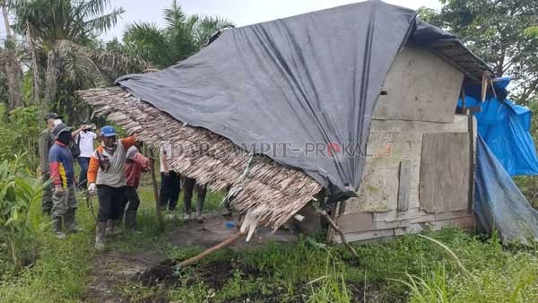 DIBONGKAR LAGI: Petugas gabungan membongkar warung remang-remang di Jalan Moh Hatta Sampit, (10/3). Lokasi itu selama ini dijadikan tempat prostitusi terselubung.(YUNI/RADAR SAMPIT )