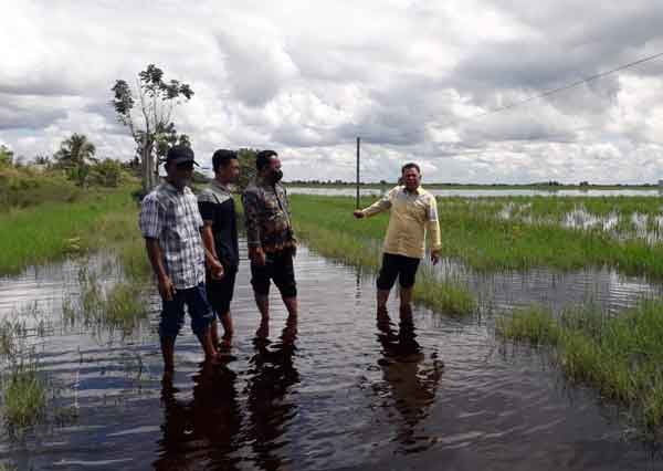 KEBANJIRAN: Sawah petani di Desa Lampuyang yang terendam banjir. Hal tersebut membuat petani gagal panen dan menderita kerugian besar.(IST/RADAR SAMPIT)