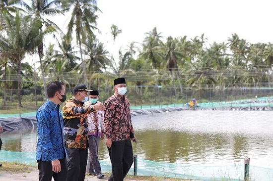 Bupati Sukamara Windu Subagio saat meninjau salah satu tambak udang vaname milik warga beberapa waktu lalu.