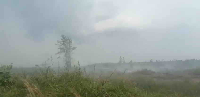 KARHUTLA: Lahan Gambut di Desa Tanjung Putri, Kecamatan Arut Selatan,  kembali terbakar.  (Istimewa/Radar Pangkalan Bun)