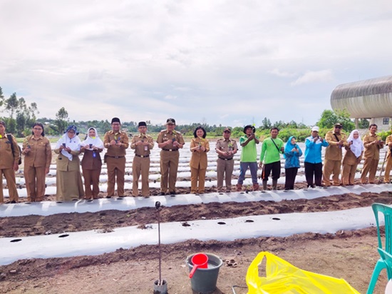 Pj Bupati Kobar menanam cabai di demplot percontohan area sport center pada Senin (27/11/2023)