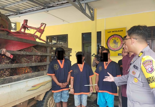 MALING SAWIT: Tiga tersangka pencurian buah kelapa sawit di area kebun milik PT BJAP 2, saat dihadirkan dalam pers release di Mapolres Kobar, Senin (25/12/2023) (SULISTYO/RADAR PANGKALAN BUN)