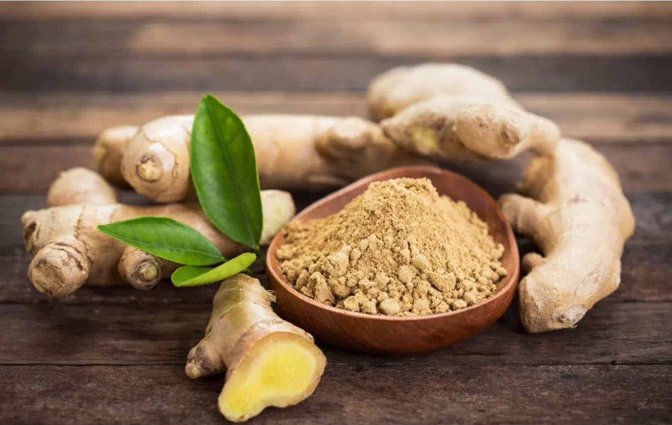 Tanaman jahe yang dapat digunakan sebagai obat herbal.