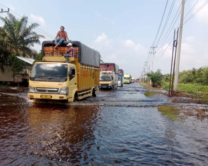 Aktivitas kendaraan roda enam mulai lancar melewati Jalan Lintas Timur Sumatera Km 84 Desa Kemang, Kecamatan Pangkalan Kuras, Kabupaten Pelalawan, Senin (22/1/2024)