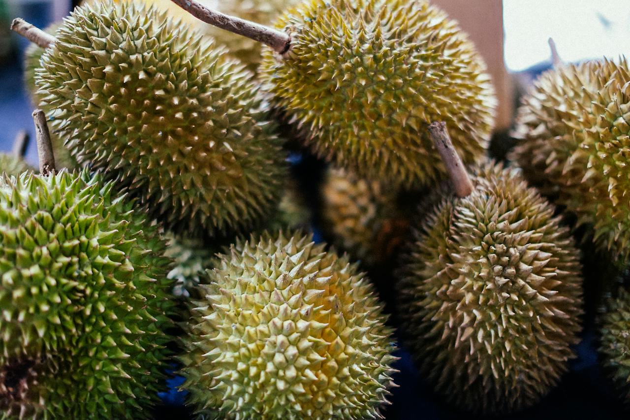 DURIAN