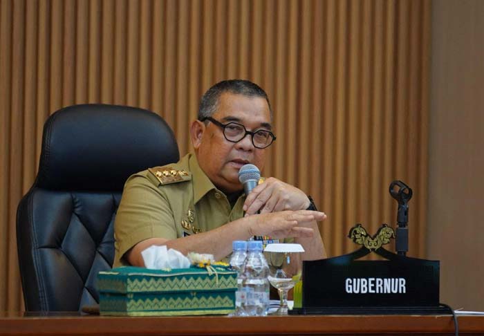 Edy Natar Nasution Gubernur Riau