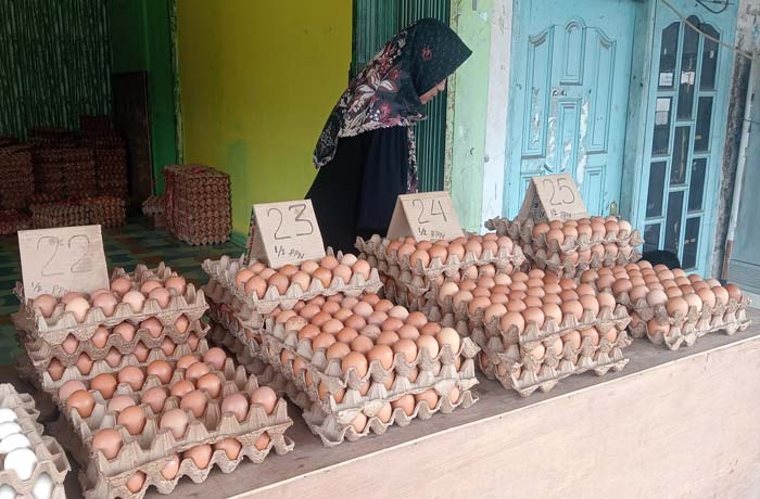 Pedagang menyusun telur ayam yang dijual di Jalan Tengku Bey, Kecamatan Bukit Raya, Rabu (14/2/2024). Harga telur mencapai Rp50 ribu per papan (30 butir), naik dari harga sebelumnya Rp48 ribu.