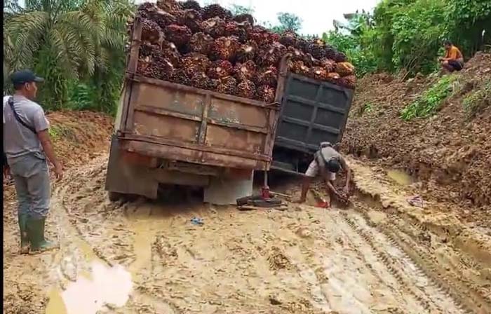 Sejumlah truk terjebak di jalan berlumpur Jalan Lintas Selatan, tepatnya di Kecamatan Batang Cenaku, Kabupaten Inhu, Sabtu (17/2/2024).