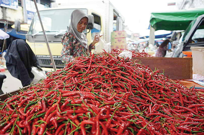 Pembeli memilih cabai yang dijual di Pasar Jalan Teratai, Pekanbaru, Rabu (21/2/2024).