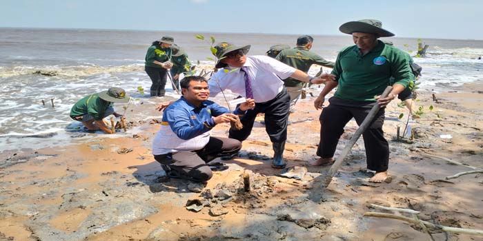 Kepala Dinas Lingkungan Hidup Kota Dumai Agus Gunawan menanam mangrove di pesisir pantai Guntung, Kecamatan Medang Kampai, Kamis (29/2/2024).