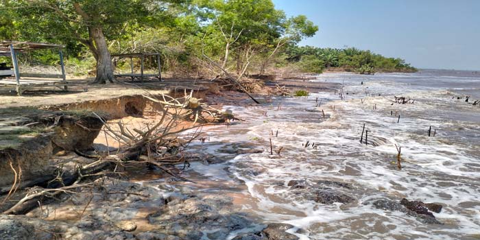 Abrasi masih menjadi ancaman di sejumlah daerah di Kota Dumai, terutama yang berada di sepanjang pesisir pantai. Termasuk di daerah Guntung, Kecamatan Medang Kampai, belum
