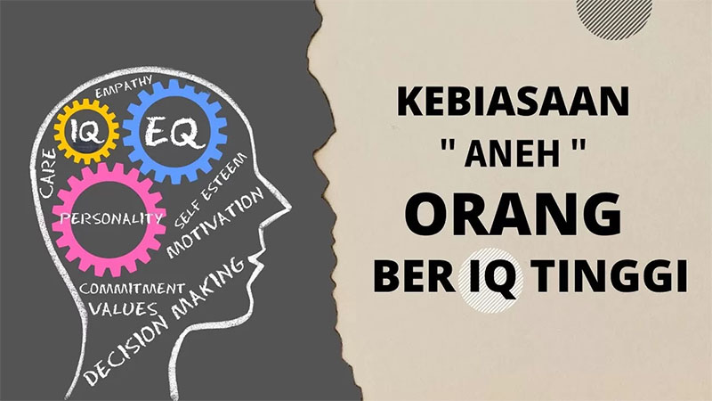 Kebiasaan Aneh Orang Ber IQ Tinggi.