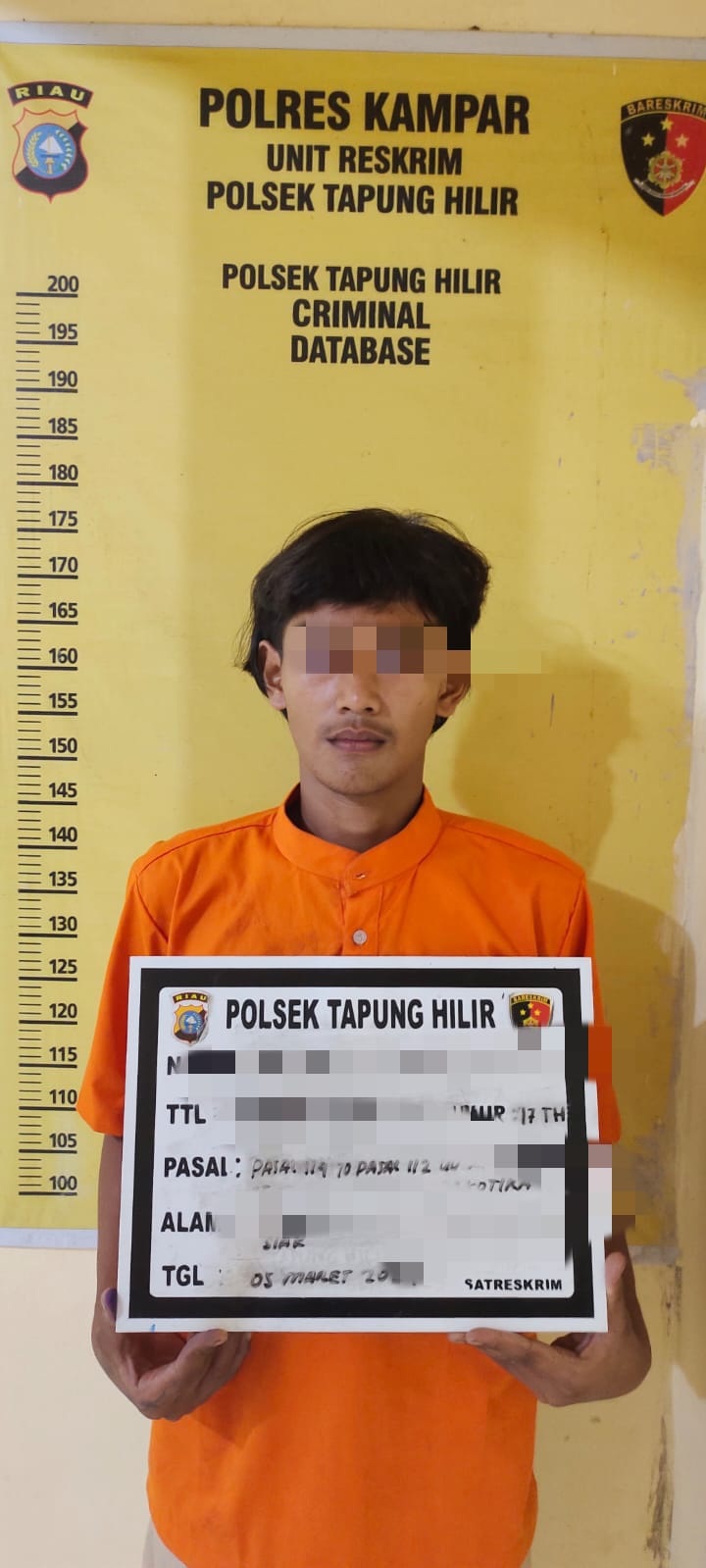 Jajaran Polsek Tapung Hilir menangkap diduga pelaku narkoba berinisial AB (17) di tepi  Jalan Simpang Gelombang KM 3 Desa Kota Garo, Senin (5/3/2024)