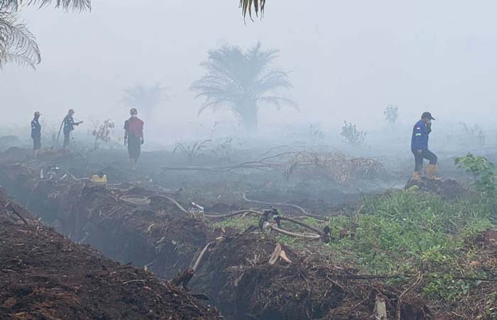 Petugas melakukan proses pendinginan kebakaran hutan dan lahan di Kota Dumai, belum lama ini.