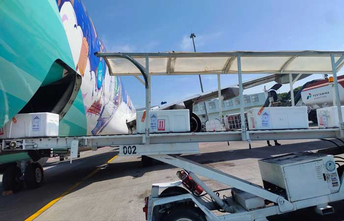 Proses pengiriman petai hasil Perhutanan Sosial untuk di ekpor ke Jepang melalui Bandara Juanda Surabaya, Rabu (6/3/2024).