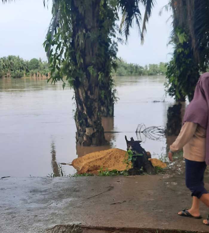 Mayat laki-laki tanpa identitas ditemukan warga di sungai kuantan, Desa Pulau Rengas, Pangean, Ahad (10/3/2024) pagi.