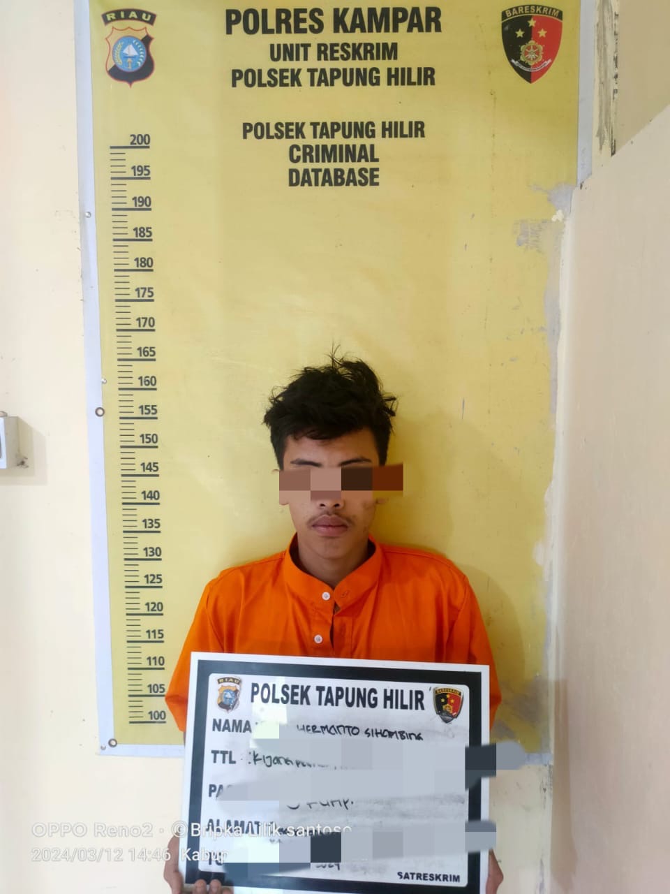 Polsek Tapung Hilir kembali menangkap pelaku RI (19) warga Kijang Makmur, Kecamatan Tapung Hilir dalam kasus yang sama yakni pencurian buah kelapa sawit, Selasa (12/3/2024).