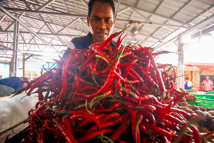 Pedagang menata cabai merah asal Bukittinggi yang dijual di Pasar Cik Puan, Pekanbaru, Rabu (13/3/2024). Harga cabai terus melonjak mencapai Rp150 ribu per kg.