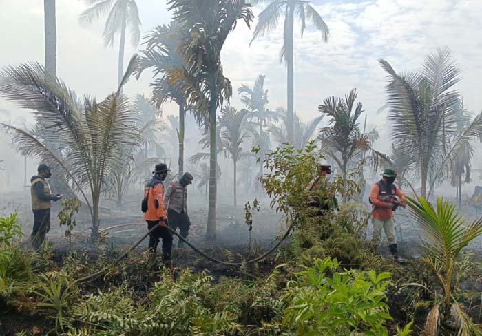 Petugas melakukan proses pendinginan&nbsp;karhutla&nbsp;di Tanah Merah, Kecamatan Rangsang Pesisir, Kepulauan Meranti, Ahad (17/3/2024).