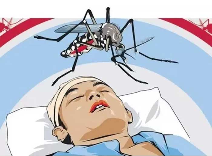 Ilustrasi penyakit demam berdarah.