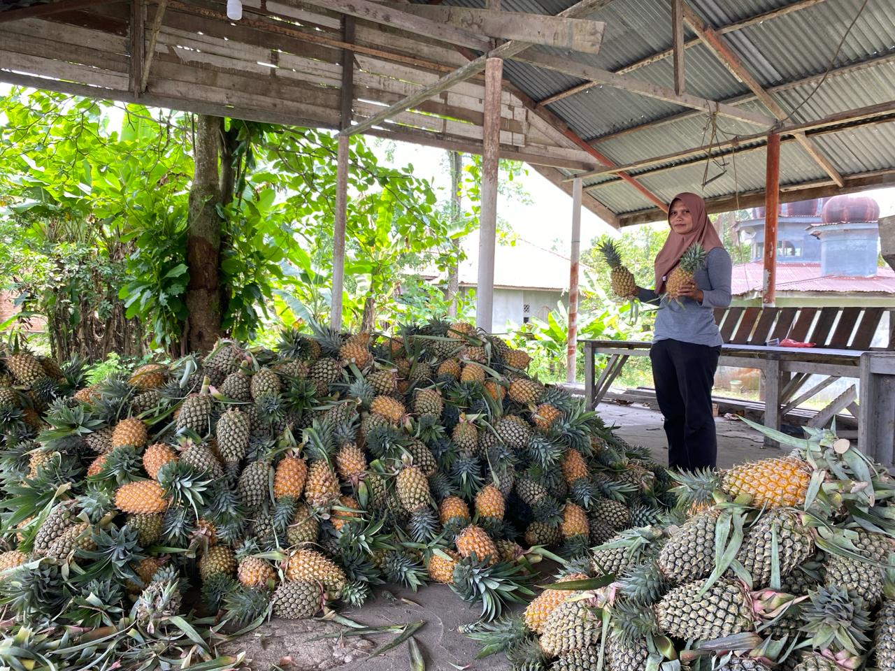 Pengusaha grosir nenas Deswi asal Desa Kualu, Tambang, Kampar.