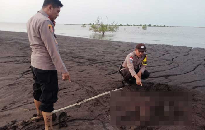 LAKUKAN EVAKUASI: Petugas Polsek Bantan melakukan evakuasi terhadap penemuan mayat Mr X di Pantai Teluk Papal, Desa Teluk Papal, Kecamatan Bantan, Bengkalis, Senin (25/3/2024) sore.