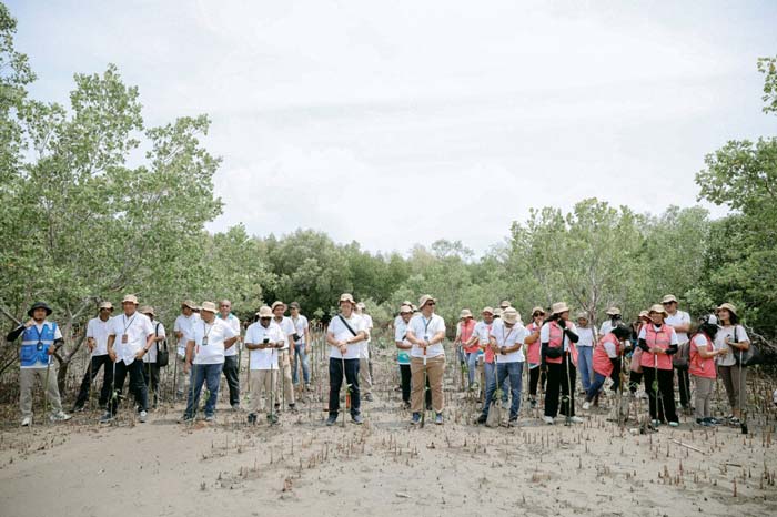 Aksi penanaman 1.000 pohon mangrove dalam peringatan Hari Bakti Rimbawan ke-41 di Desa Tanah Merah, Kecamatan Kupang Tengah, Kabupaten Kupang, Kamis (7/3/2024).