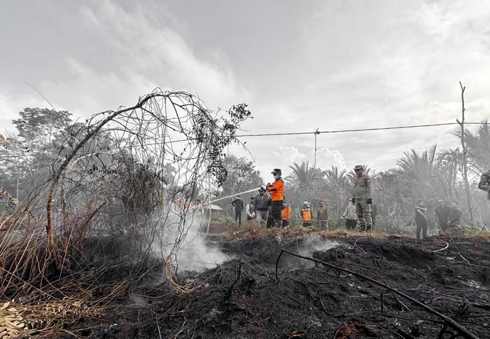 Plt Bupati Kepulauan Meranti Asmar ikut memadamkan api di Desa Penyagun, Kecamatan Rangsang, Kepulauan Meranti, Sabtu (30/3/2024).