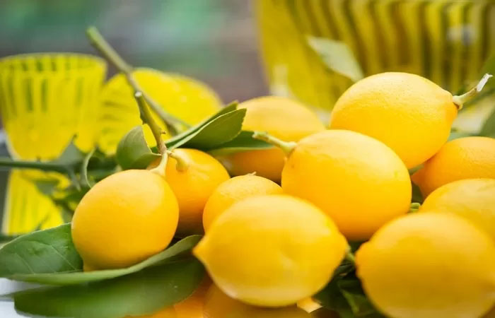 Ilustrasi buah lemon