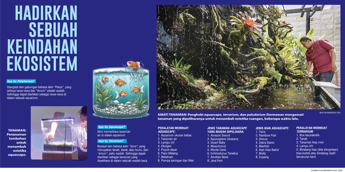 GRAFIS AQUASCAPE