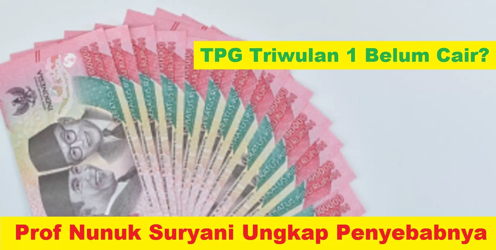 Penyebab TPG Triwulan 1 belum cair diungap Dirjen GTK Prof Nunuk Suryani