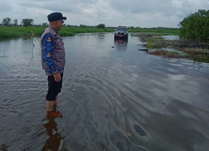 Kepala Pelaksana BPBD Pelalawan Zulfan SPi MSi saat memantau perkembangan banjir yang merendam badan jalan di Dusun Muara Sako, Kelurahan Langgam, Kecamatan Langgam, Kabupaten Pelalawan