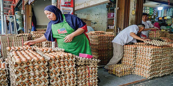 Pedagang&nbsp;menata&nbsp;telur-telur&nbsp;ayam yang dijual di kios&nbsp;Pasar Pagi Arengka.&nbsp;Harga&nbsp;telur&nbsp;ayam masih tinggi, saat ini dijual Rp49.000-Rp56.000 per papan (30 butir) tergantung ukuran telur.