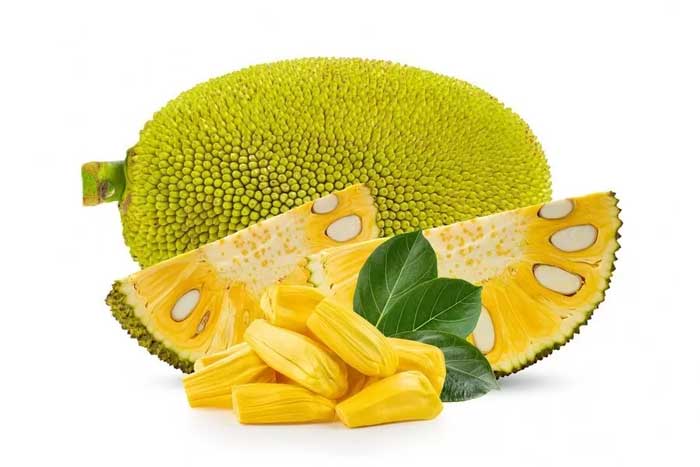 Nangka, buah yang identik dengan aromanya yang khas, ternyata menyimpan segudang manfaat bagi kesehatan.