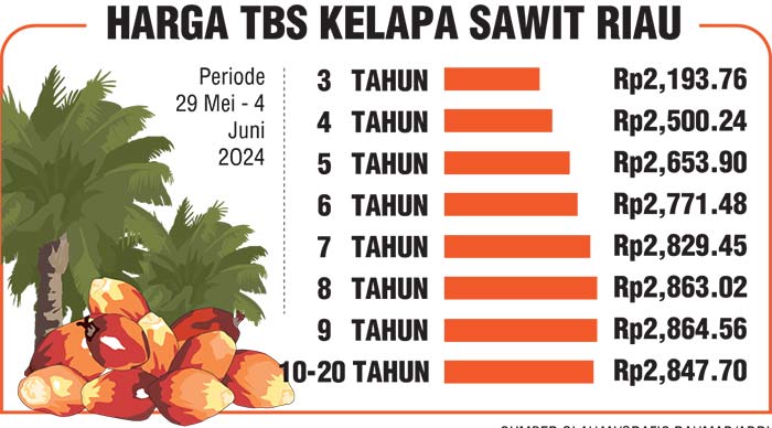 SUMBER:OLAHAN/GRAFIS:RAHMAD/ADRI