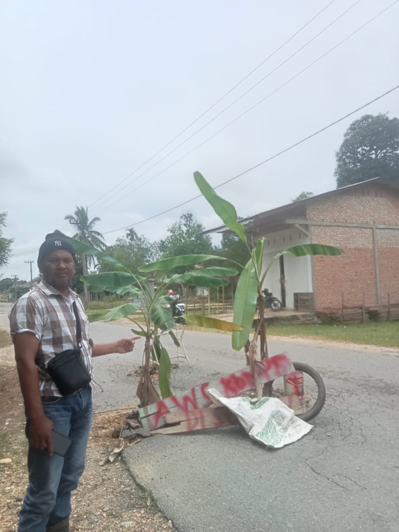 Warga Kuntu Kecamatan Kamparkiri menanam pohon pisang di jalan karena jalan rusak, Kamis (30/5/2024).