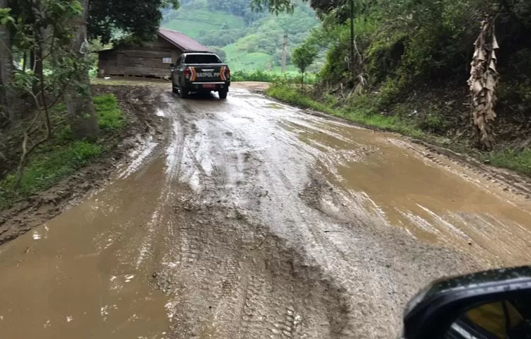 Daftar 12 Provinsi dengan Jalan Rusak Terbanyak di Indonesia, Nomor 1 Merupakan Penghasil Sawit Terbesar.