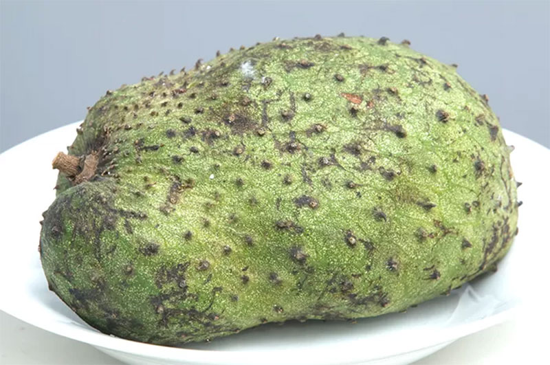 Buah sirsak