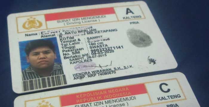Contoh surat izin mengemudi (SIM).