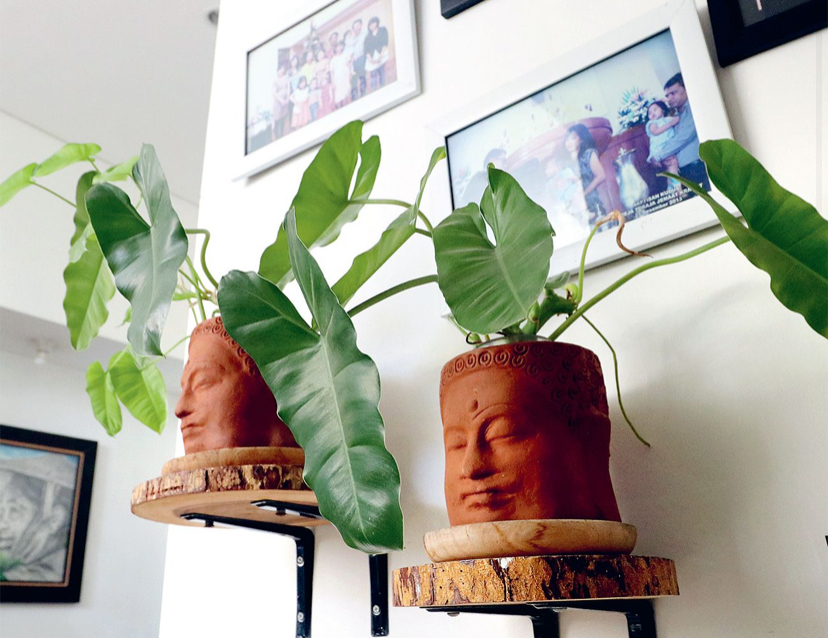 Tanaman sirih maupun philodendron cocok dengan sistem propagasi air. Agar lebih cantik, bisa diberi pot cover sesuai kesukaan.