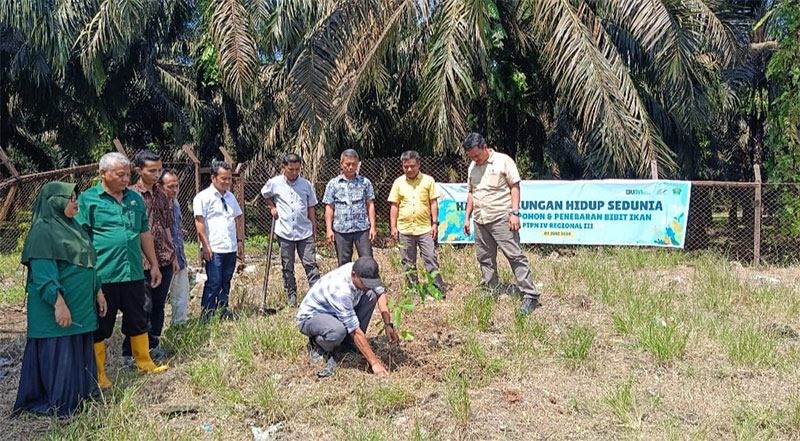 Program Pelestarian Lingkungan melalui penyaluran ribuan bibit tanaman dan ikan kembali dilaksanakan PTPN IV Regional III.