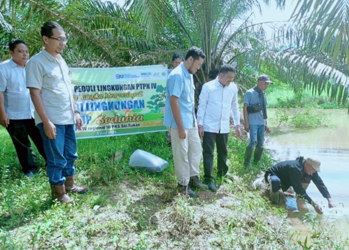 Program Pelestarian Lingkungan melalui penyaluran ribuan bibit tanaman dan ikan kembali dilaksanakan PTPN IV Regional III, baru-baru ini.