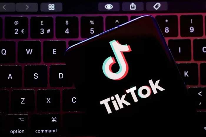 ilustrasi TikTok.