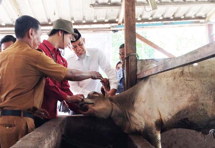 Wali Kota Dumai H Paisal SKM Mars meninjau lokasi pengepul hewan kurban di Kompleks Perumahan Dumai Baru, Kelurahan Bukit Timah, Kecamatan Dumai Selatan, Senin (10/6/2024).