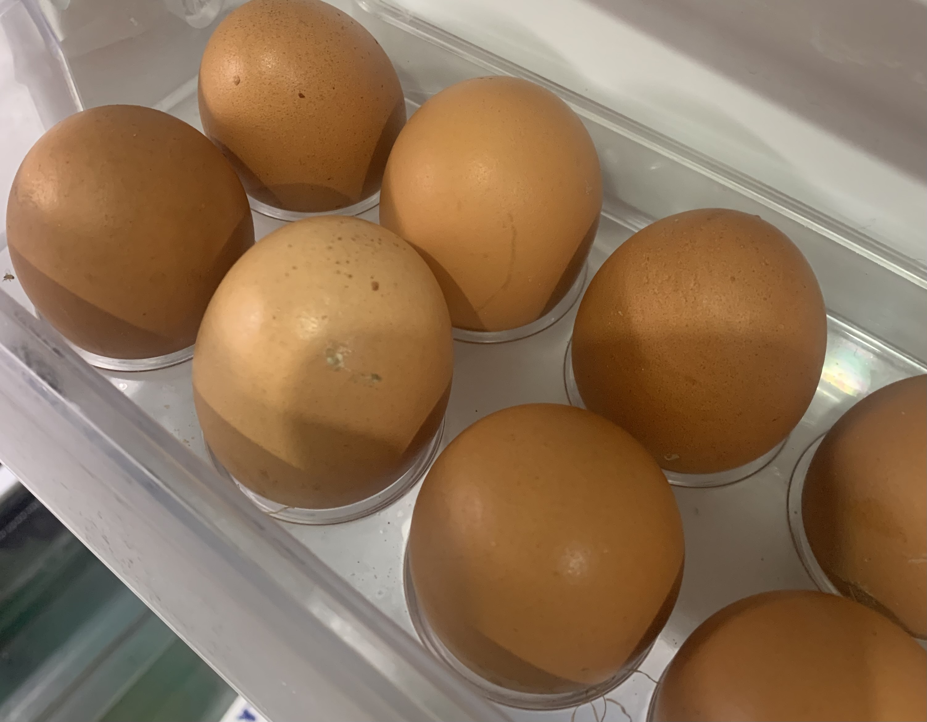 TELUR